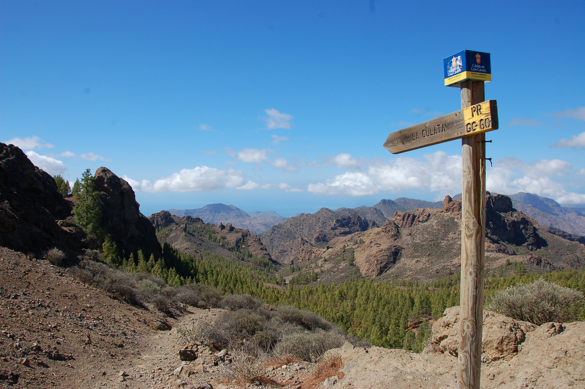 tourist guide gran canaria